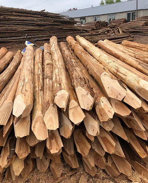 深耕行業(yè)，匠心為本 樂業(yè)木業(yè)杉木樁與鑿巖釬具的品質(zhì)之路